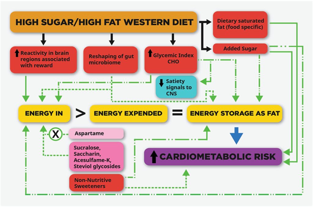 能量平衡公式-體重-復胖-減重失敗